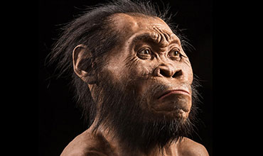El Homo Naledi podía trepar a los árboles y manejar herramientas