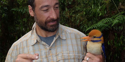 Científico que encuentra ave extinguida hace 50 años la mató «en nombre de la ciencia»