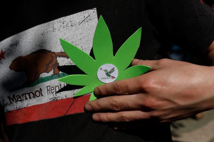 La poda del Gobierno al proyecto sobre autocultivo de marihuana
