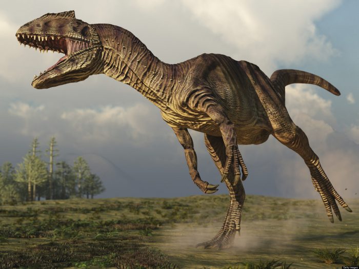 Nadie quiso comprar el esqueleto de un Allosaurus de 155 millones de años