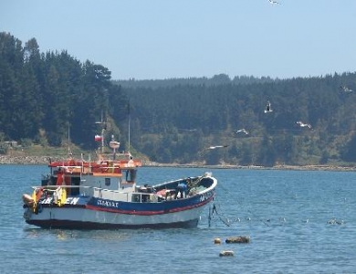 Comisión de Pesca del Senado aprueba en general proyecto que modifica «Ley Longueira»