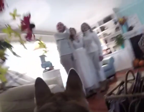 [Video] Un camarógrafo fuera de lo común: ¿dejarías que tu perro grabe tu matrimonio con una GoPro?