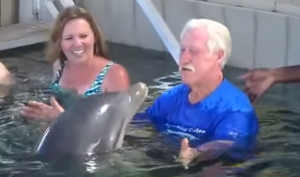 [Video] ¿Quién ganará la pelea entre un hombre y un delfín?
