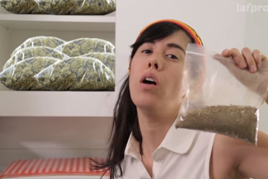 [Video] ¿Crees que la marihuana es sexy?