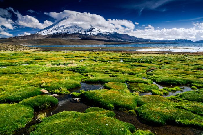 Simposio de Turismo Sustentable: Chile invierte 10 mil millones en Parque Nacionales