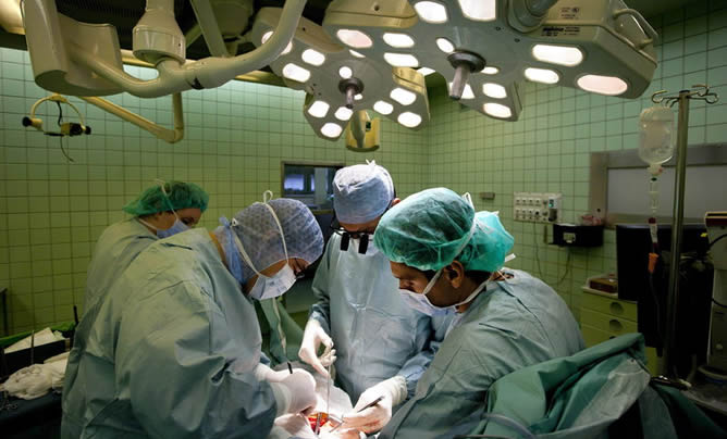 74% de los chilenos autorizaría la donación de órganos de un familiar cercano