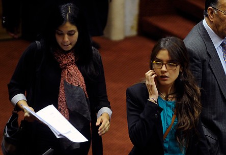 Cariola y Vallejo defienden gratuidad ante el TC