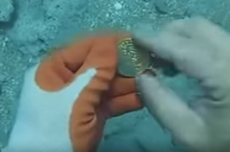 [Video] Hombre encuentra monedas de oro en el fondo del mar y ésta es su reacción