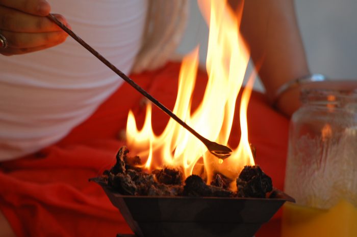 3er Festival de Terapia Homa en Villa Vida Natural