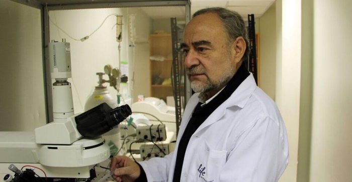 Investigan efectos beneficiosos del litio en enfermedad de Alzheimer y otras patologías neurodegenerativas