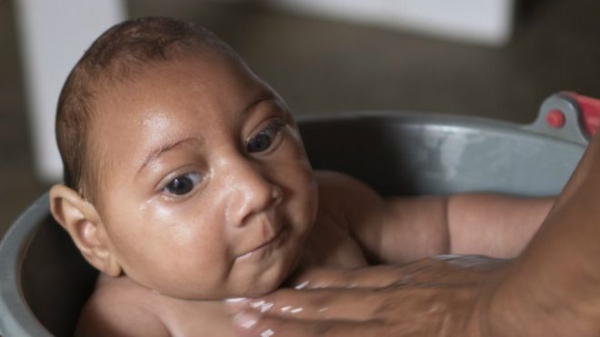 OMS: virus zika se extenderá por toda América, a excepción de Chile y Canadá