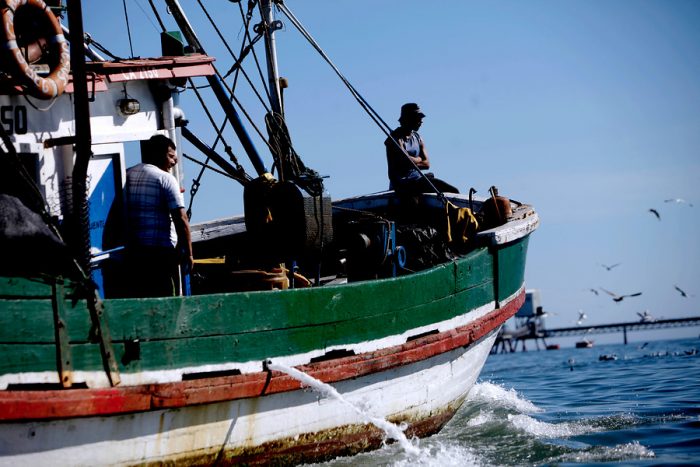 Fondo Mundial para la Naturaleza pide no anular la Ley de Pesca