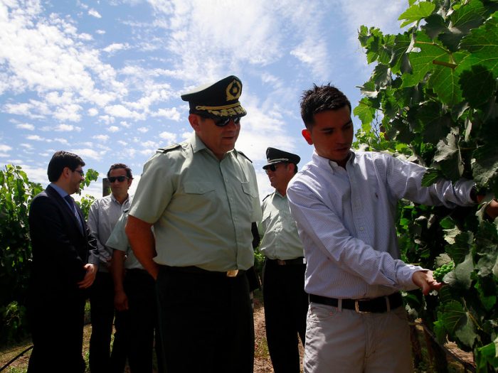 Reinserción: primera certificación de diploma de 11 internos que serán operadores de viña