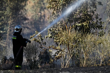 Se declara Alerta Roja para la Comuna de Limache por incendio forestal “Los Maitenes”