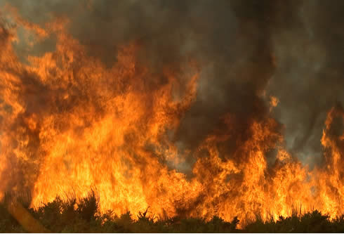 Seis incendios forestales permanecen activos