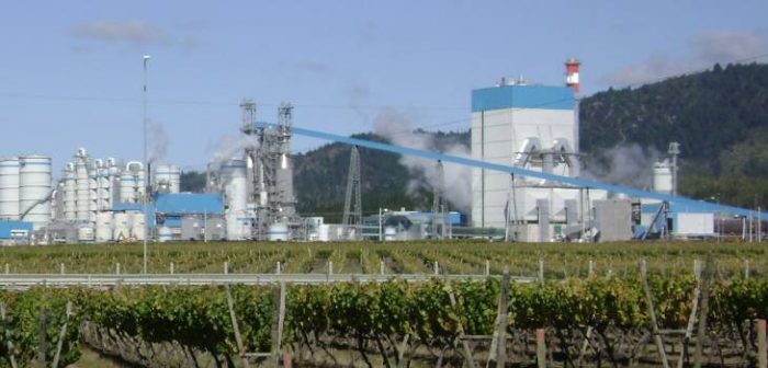 SMA inicia proceso de sanción contra Celulosa Arauco por incumplimientos en su Planta Valdivia