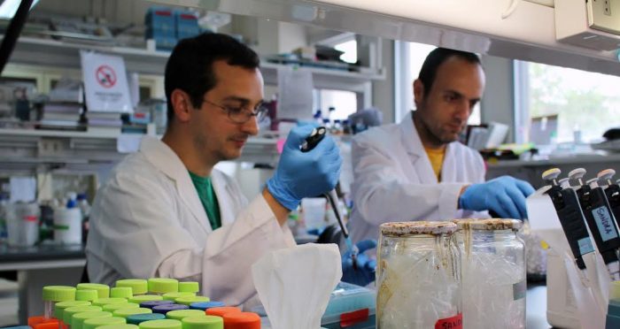 Chilenos organizan alianzas con científicos de EE.UU. para encontrar cura del ELA