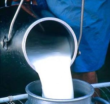 Diputado enciende la  sospecha sobre posible colusión en la industria de lácteos
