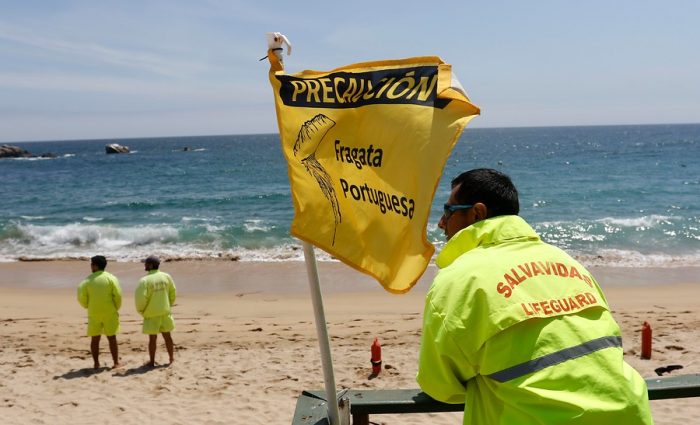 Seremi de Salud levanta prohibición de bañarse  en las  playas de la Quinta Región