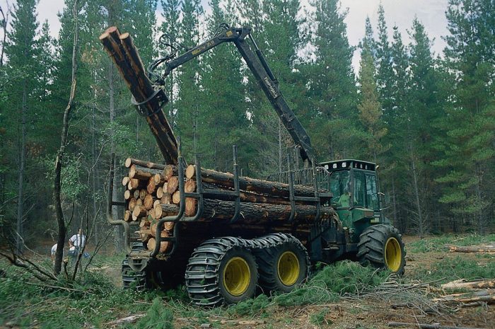 Desafíos del sector forestal