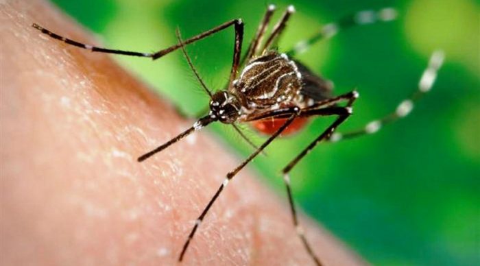 Perú declara «alerta verde» tras confirmar caso importado del zika