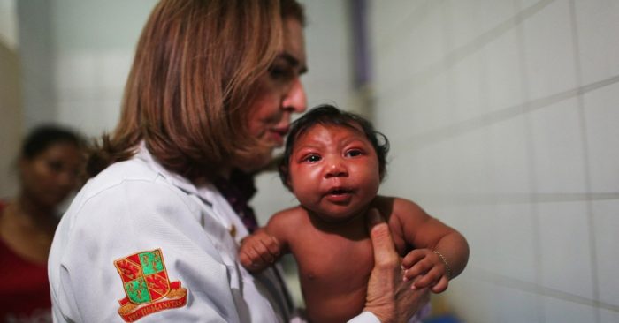 OMS declara emergencia sanitaria mundial por virus Zika
