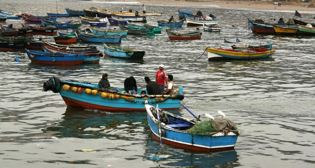 Sernapesca Maule aclara acusaciones de pescador artesanal