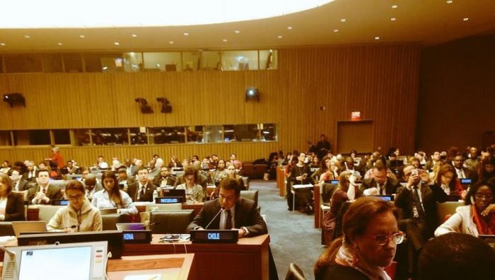 Subsecretario de Servicios Sociales presenta visión de Chile en la Comisión de Desarrollo Social de la ONU