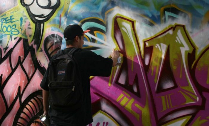 Diputada Nogueira (UDI) propone cárcel y multas por hasta $2 millones a grafiteros