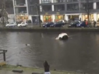 [Video] Jóvenes rescatan a una madre y a su bebé de morir ahogados en Holanda