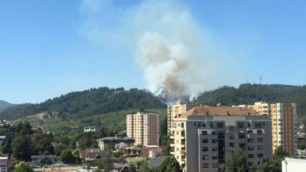 Declaran alerta roja para Temuco por incendio forestal
