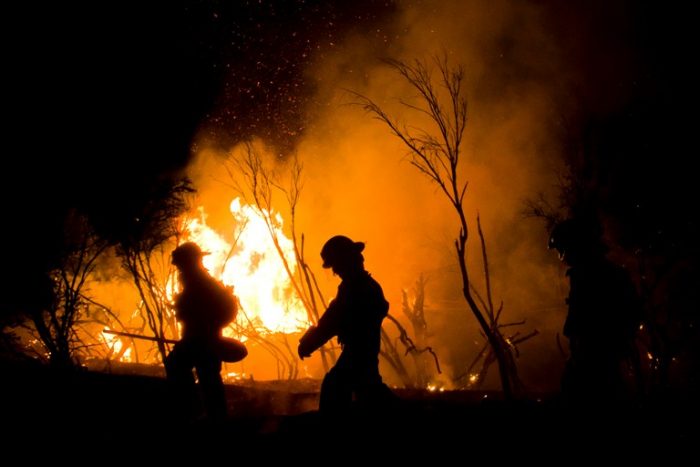 Un total de 19 incendios forestales siguen activos, según Onemi