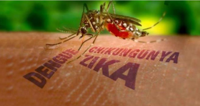 Ministerio de Salud confirma primer caso de virus Zika autóctono y transmitido por vía sexual en el país