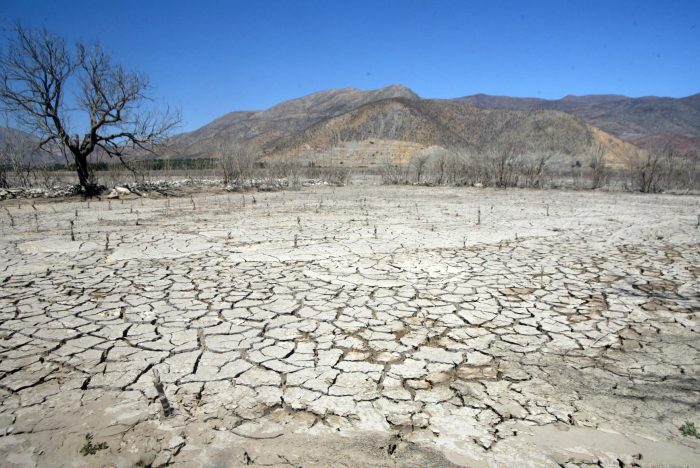 Sequía, desertificación y degradación de suelos: 5,5 millones de personas viven en zonas de alto riesgo