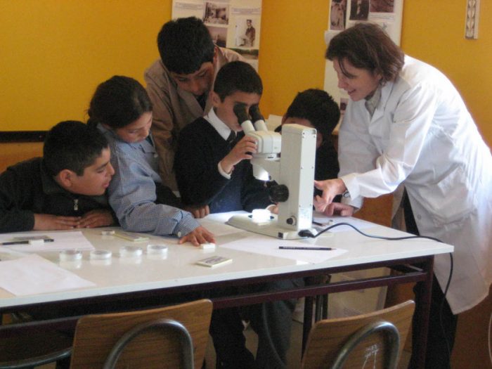 Neurocientífica Kathleen Whitlock y su lapidaria evaluación de la educación en Chile