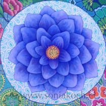 Mandala-portada-210x210.jpg
