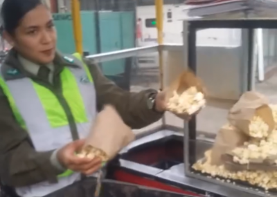[VIDEO] Carabineros botan mercadería a vendedora ambulante que llora en medio del procedimiento