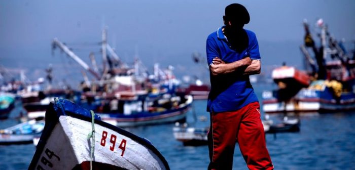 “La paciencia se agotó”:  industria pesquera del Biobío se va a paro indefinido por ley que regula captura de la jibia