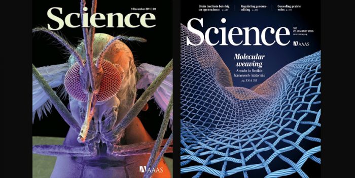 Revista Science pide preservar la colaboración científica tras el «brexit»