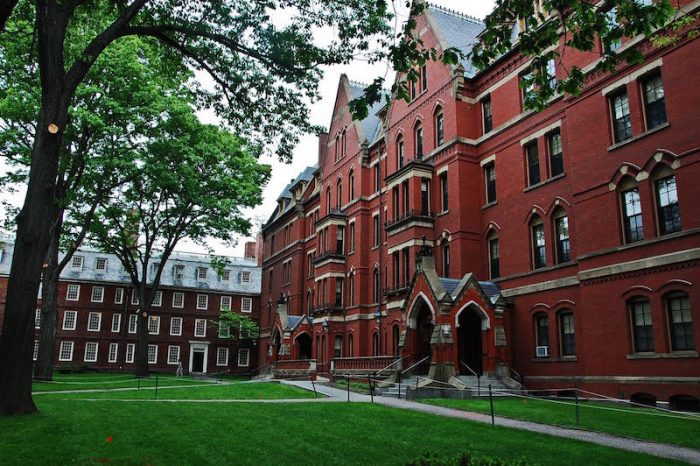 Harvard: últimos datos de admisión podrían ser un respiro para acusaciones raciales