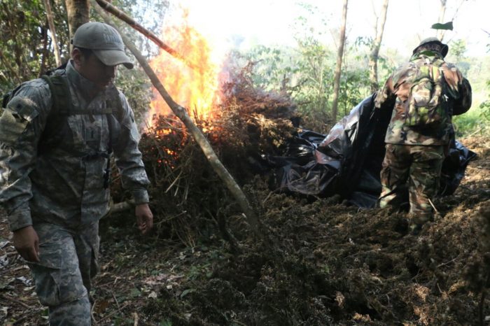Operativo destruyó 70 toneladas de marihuana entre Brasil y Paraguay