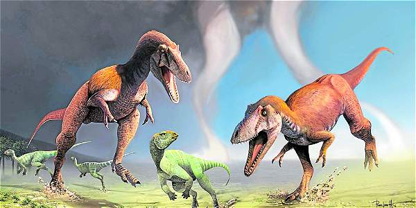 [VIDEO] Descubren nueva especie de dinosaurio carnívoro en Argentina