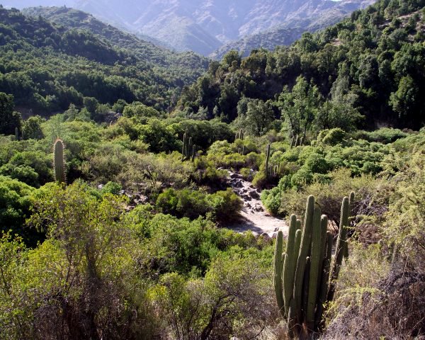 Río Clarillo se convierte en el primer Parque Nacional de la Región Metropolitana