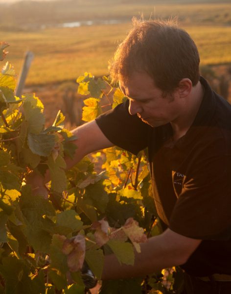 La suma de factores que permiten a Tamaya producir vinos premium de categoría mundial