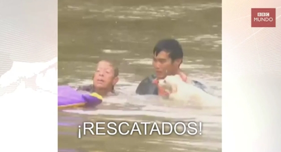 [VIDEO] Dramático rescate de una mujer a punto de ahogarse y su perro en las inundaciones de Luisiana, EE.UU.