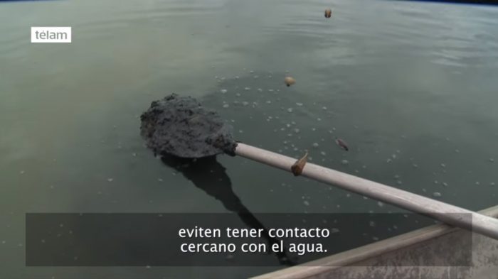 [VIDEO] Denuncian alta contaminación de las aguas de Río a días de comenzar los Juegos Olímpicos