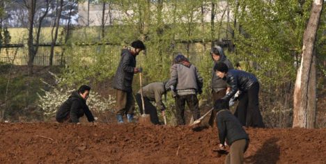 El trabajo forzoso es muy mal negocio