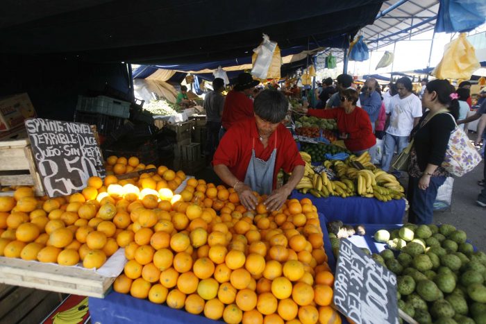 Estudio científico determina que el calentamiento del océano compromete seguridad de los alimentos