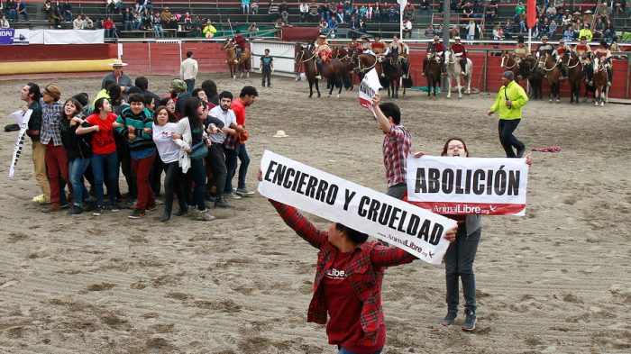 Animalistas harán banderazo en Santiago para exigir fin del rodeo