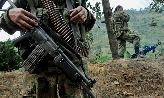 El guerrillero chileno de las FARC: «La violencia no vale la pena»